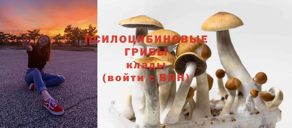 mdma Карталы