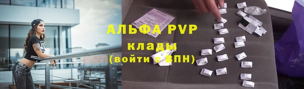 ПСИЛОЦИБИНОВЫЕ ГРИБЫ Касимов