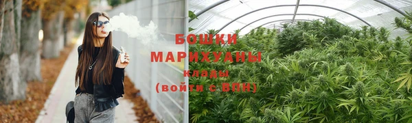 ПСИЛОЦИБИНОВЫЕ ГРИБЫ Касимов