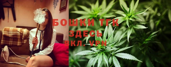 ПСИЛОЦИБИНОВЫЕ ГРИБЫ Касимов
