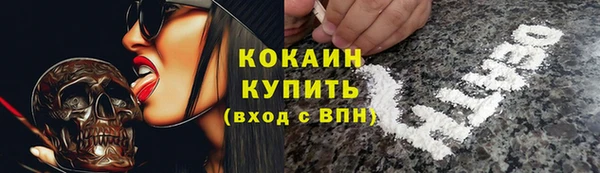ПСИЛОЦИБИНОВЫЕ ГРИБЫ Касимов