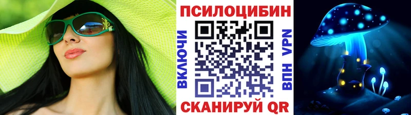 Купить где  Мамоново  Галлюциногенные грибы Psilocybine cubensis 